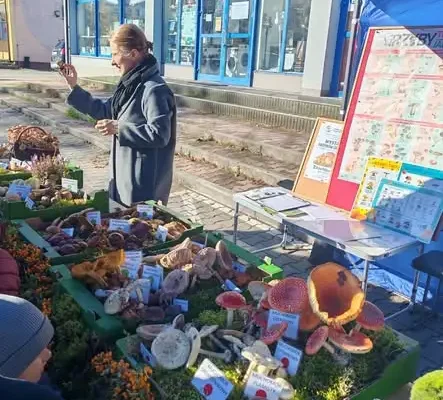 Uczniowie z Opola Lubelskiego uczyli się rozpoznawać grzyby na wystawie sanepidu