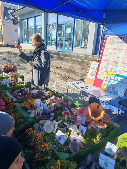 Uczniowie z Opola Lubelskiego uczyli się rozpoznawać grzyby na wystawie sanepidu