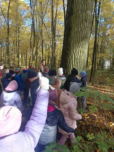 Kluczkowice: lekcja przyrody w muzeum i lasie dla klas 2b i 2c